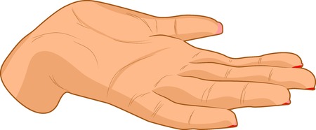 Beautiful female palm. Vector illustration. のイラスト素材