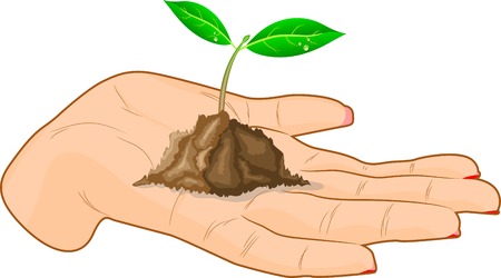 Young sprout in a hand. Vector illustration. のイラスト素材