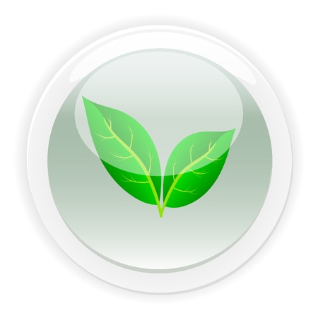 Beautiful leaf icon. Vector illustration.のイラスト素材