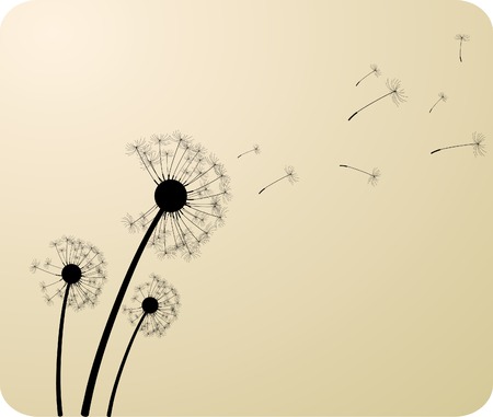 Three dandelion silhouettes. Vector illustration. のイラスト素材