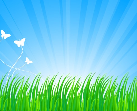 Fresh green grass. Vector illustration. のイラスト素材