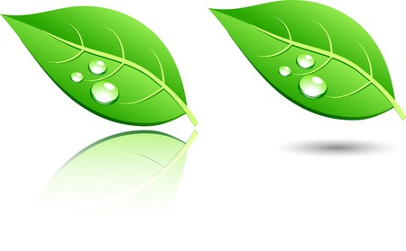 Green leaf icons. Vector illustration. のイラスト素材