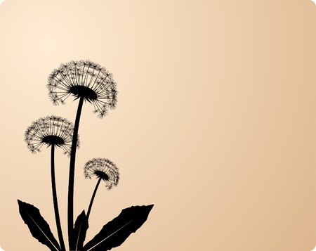 Three dandelion silhouettes. Vector illustration.のイラスト素材