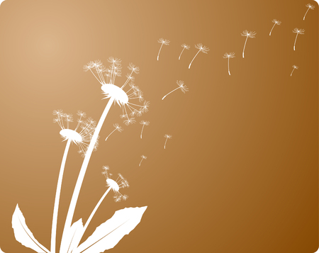 Wind and dandelion. Vector illustration.のイラスト素材