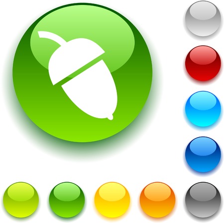 Acorn  shiny button. Vector illustration. のイラスト素材