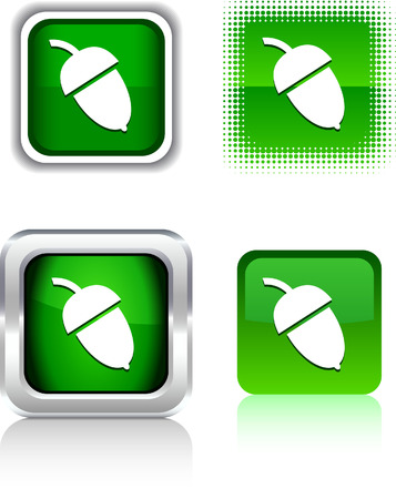   Acorn square buttons. Vector illustration. のイラスト素材