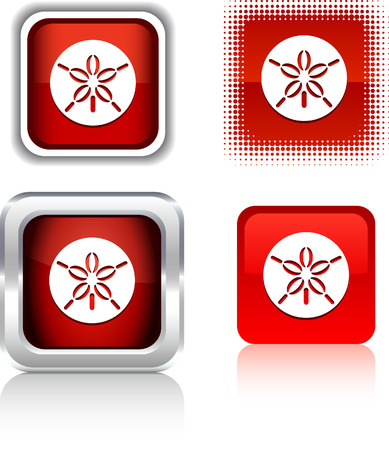 Sand dollar   square buttons. Vector illustration. のイラスト素材