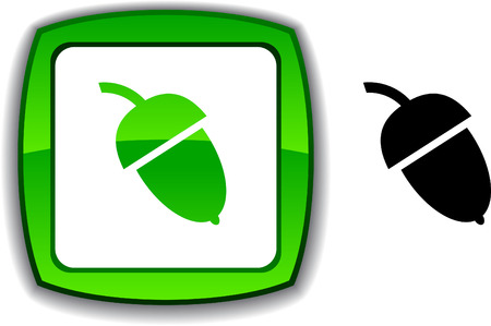 Acorn   realistic button. Vector illustration. のイラスト素材