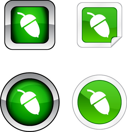 Acorn   web buttons. Vector illustration. のイラスト素材