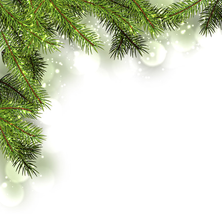 Winter card with fir branches. Vector paper illustration.のイラスト素材