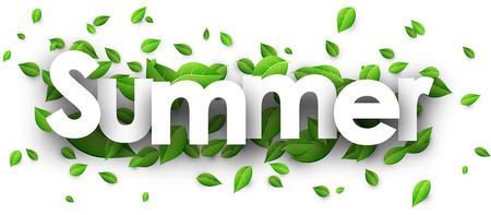 Summer paper banner with fresh green leaves. Vector illustration.のイラスト素材