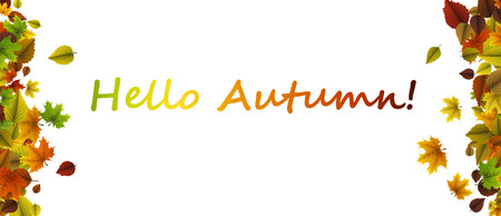 White hello autumn banner with colorful leaves. Vector paper illustration.のイラスト素材