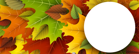 Autumn round banner with colorful maple and birch leaves.のイラスト素材
