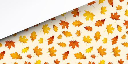 Autumn background with golden maple and oak leaves pattern. Vector illustration.のイラスト素材