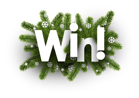 Win winter background with fir branches and snowflakes. Vector illustration.のイラスト素材