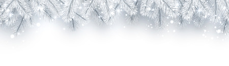 White banner with fir branches and snow for winter, Christmas and New Year decorations. Vector background.のイラスト素材