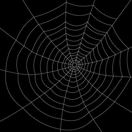Full screen white spiderweb without a spider on black background. Vector illustration.のイラスト素材