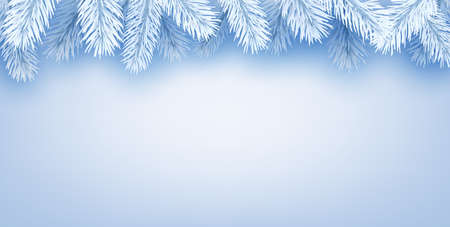 White spruce branches border on light blue background. Space for text. Vector illustration.のイラスト素材