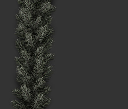 Green fir branches line on dark grey background. Vector illustration.のイラスト素材
