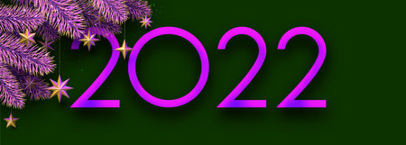 Pink 2022 sign with Christmas fir branch with hanging stars. Green background. Vector festive...