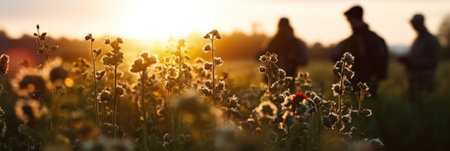 Defocused people on the trip on field with flowers at the sunset. Summertime in the countryside. AI generative illustration.の素材