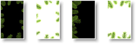 Winter paper cards with green fir twigs and place for text. Christmas template. Vector illustration.のイラスト素材