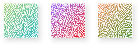 Set of paper cards with textured pattern design and rough contrast reaction diffusion curve lines. Psychedelic banner, flier, invitation, booklet. Vector illustrationのイラスト素材