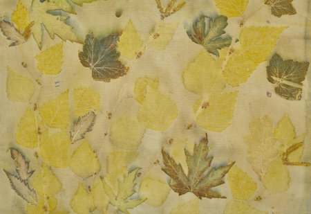 Fragment of hand-dyed fabric using eco-print technique