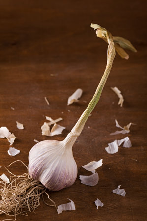 Bulb of fresh garlic on the tableの写真素材