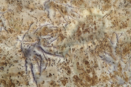 Fragment of hand-dyed fabric using eco-print techniqueの写真素材