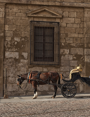 Beautiful views of the city of Cordoba.の写真素材