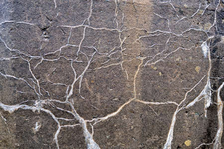 Cracked concrete texture background. Gray surface with cracks close up. A lot of pieces of...