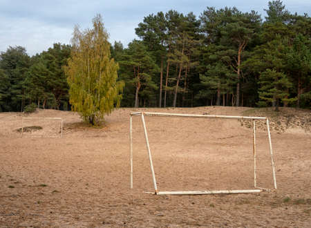 beautiful view of the coast of the Gulf of Finland in the suburbs of St. Petersburg.の写真素材