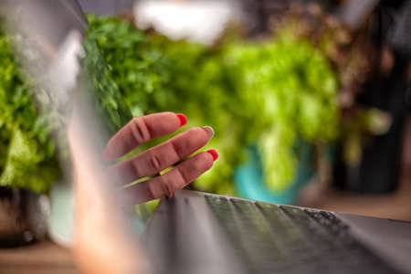 female hand holds a laptop, close up.の写真素材