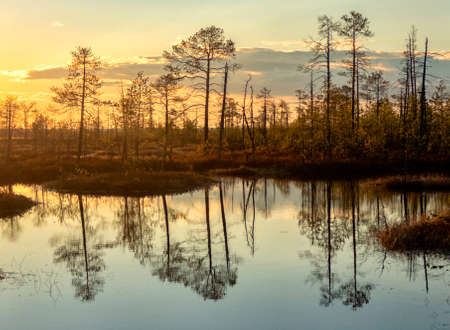 Landscape with sunset on the lake. Matutinal picturesque morning sky clouds in water sunbeam forest.の写真素材
