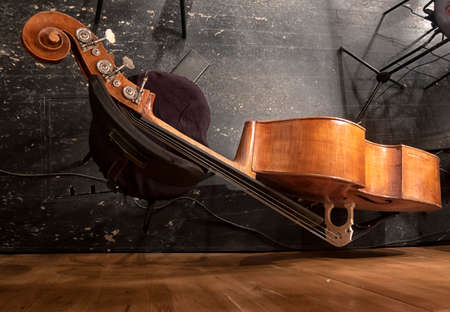 Musical instruments - two double bass or contrabass are in the orchestra room. In pending of the musicians before the rehearsal.の写真素材