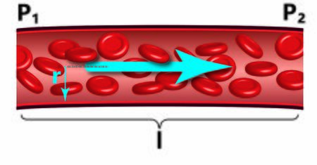 Hagen - Poiseuille law illustration