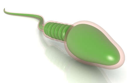 3D illustration of sperm on color backgroundの写真素材