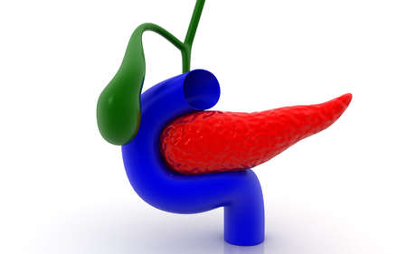 3D illustration of pancreas on white backgroundの写真素材