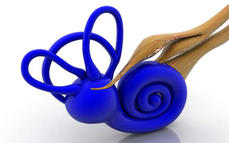 3D illustration of inner ear .Cochlea in color backgroundの写真素材