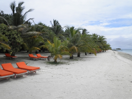 Maldives kani islandの写真素材