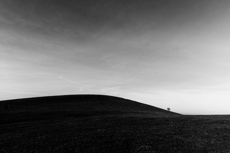 A distant, lonely tree on a bare hill, beneath a deep sky with white cloudsの写真素材