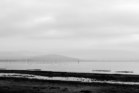 Minimalistic view of Trasimeno lake shore at dawn with soft huesの写真素材