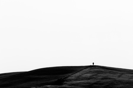 Typical Tuscany (Val dOrcia) landscape, with an isolated cypress tree on a curvy hill in the middle of grassの写真素材