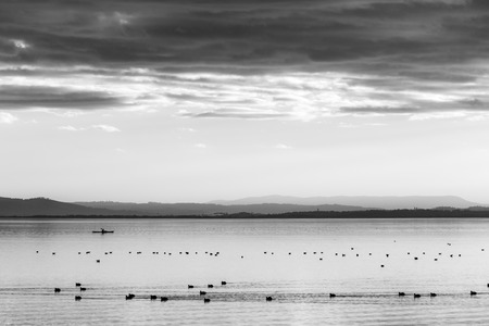 Beautiful view of Trasimeno lake at sunset with birds on water and a man on a canoeの写真素材