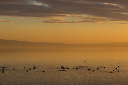 Beautiful view of a lake at sunset, with orange tones and birds flying and on waterの写真素材