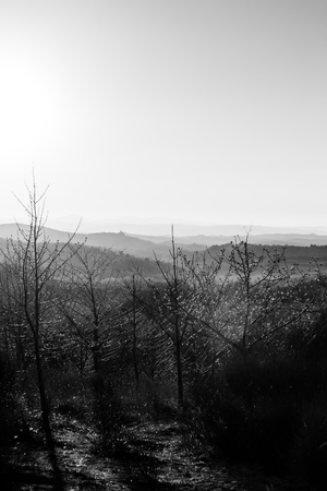 Beautiful view of Tuscany hills at sunset with mistの写真素材