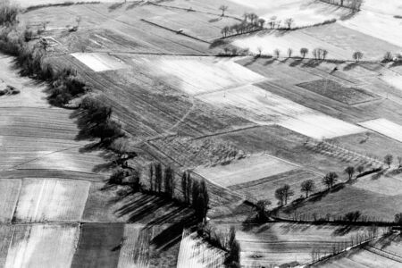 Aerial view of meadows and trees with their shadows