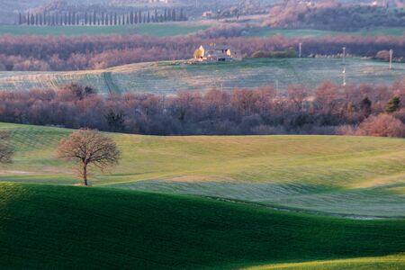 Beautiful Tuscany landscape in spring time with wave green hills and trees. Tuscany, Italy, Europeの写真素材