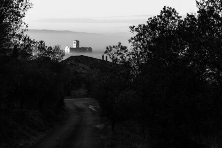 Surreal and uncommon view of St.Francis church in Assisi town (Umbria) over a sea of fog, at the end of a road in the middle of treesの写真素材